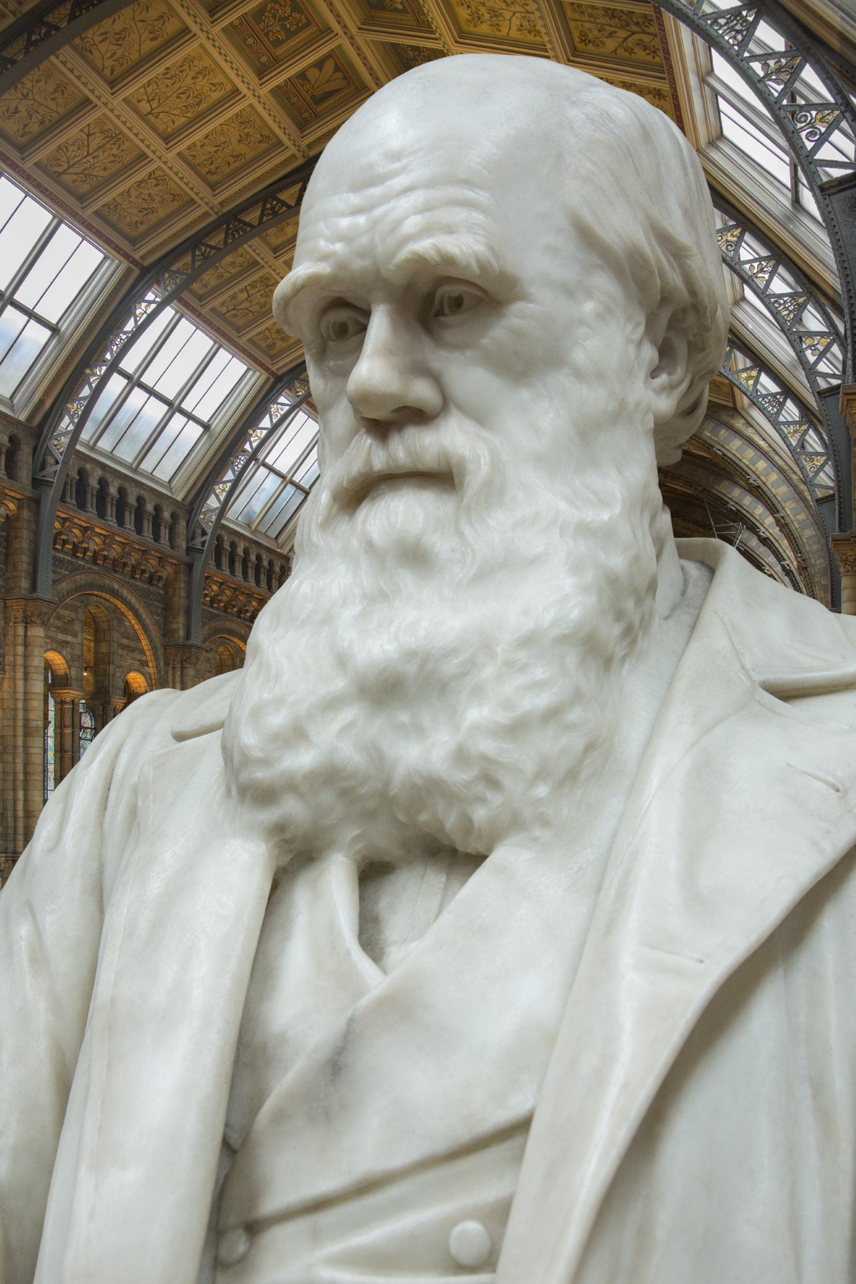 Charles Darwin de 1809 à 1882