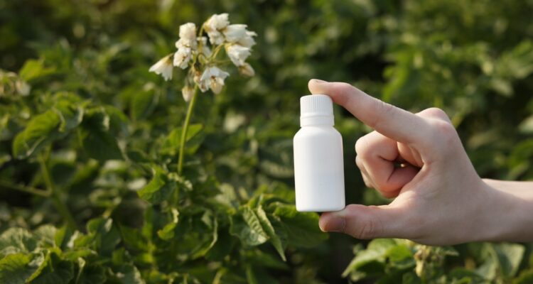 Lutte écologique contre les cafards de jardin